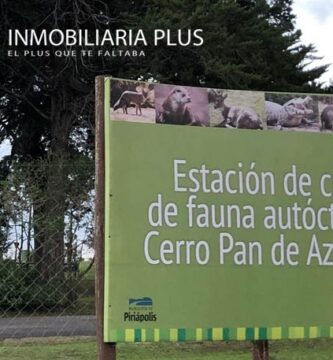 Reserva de Flora y Fauna Autóctona del Cerro Pan de Azúcar
